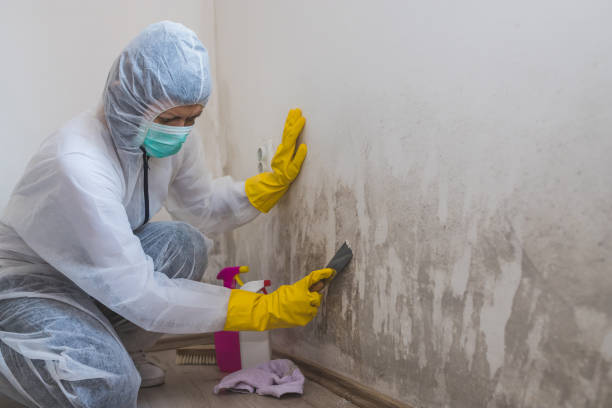 Crawl Space Mold Removal in Bristow, OK