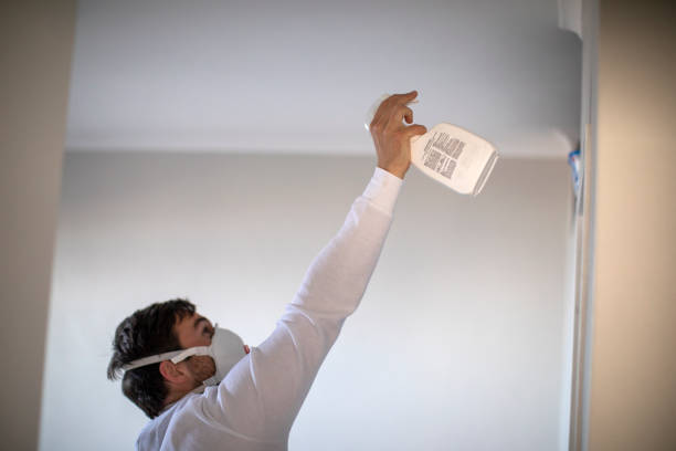 Mold Removal Process in Bristow, OK